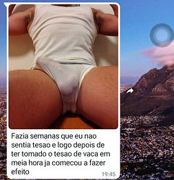 TESÃO DE VACA