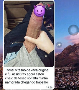 TESÃO DE VACA