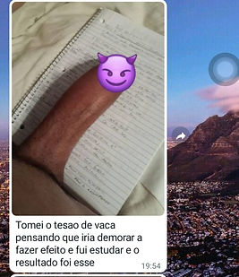 TESÃO DE VACA