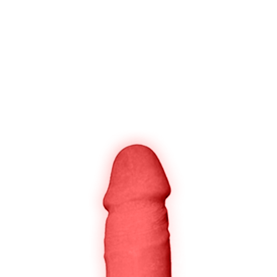 TESÃO DE VACA
