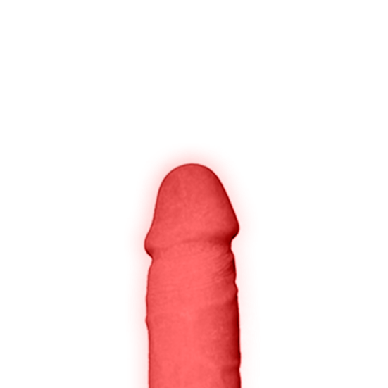 TESÃO DE VACA