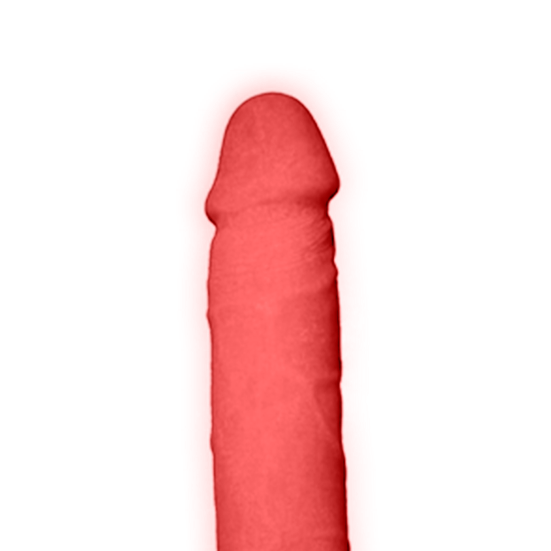 TESÃO DE VACA