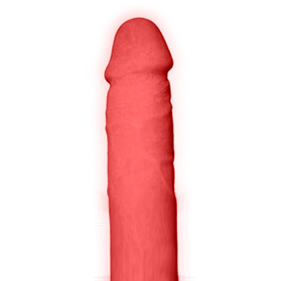 TESÃO DE VACA